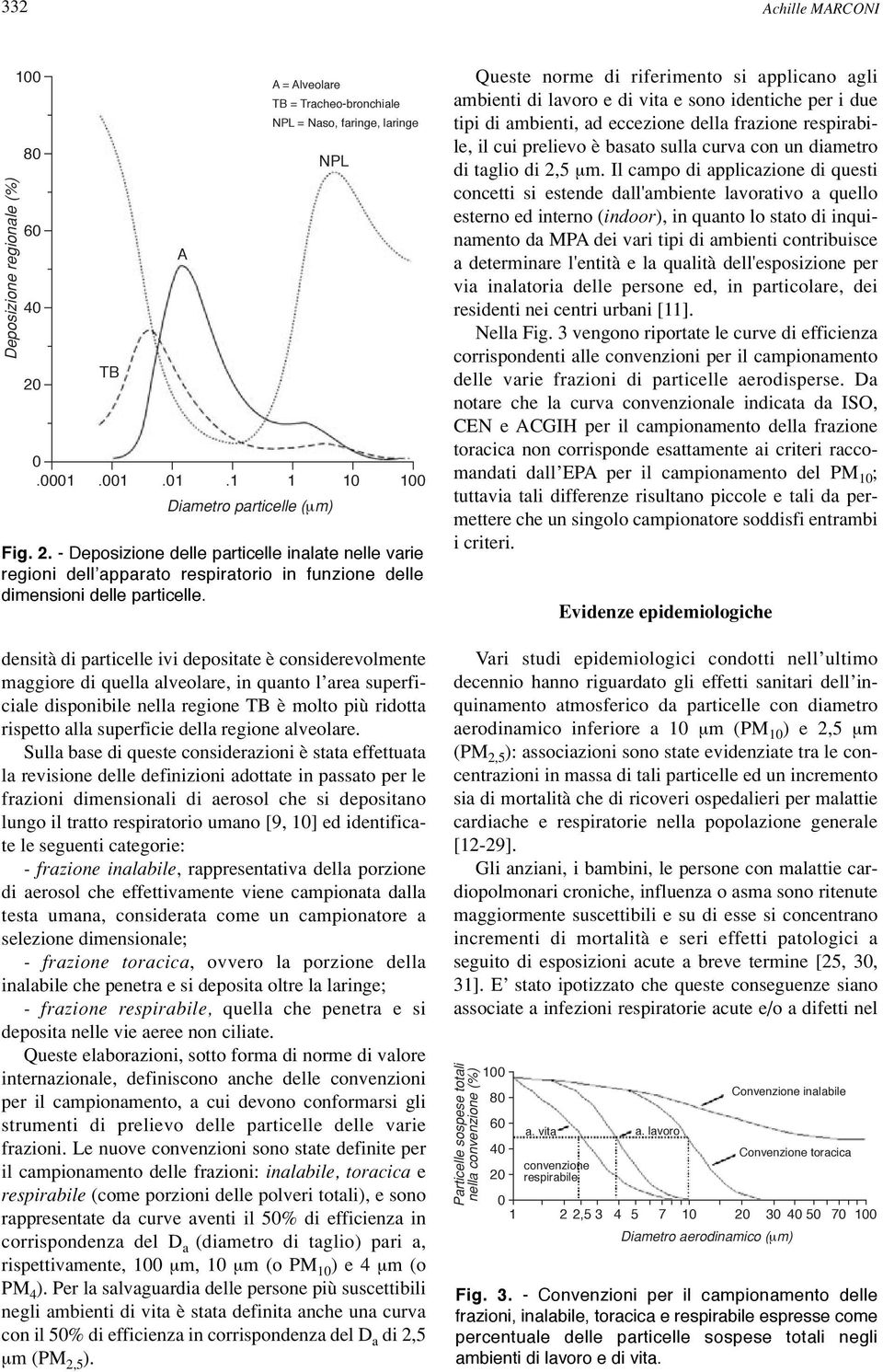 regione alveolare.