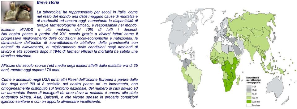 Nel nostro paese a partire dal XX secolo grazie a diversi fattori come il progressivo miglioramento delle condizioni socio-economiche e nutrizionali, la diminuzione dell indice di sovraffollamento