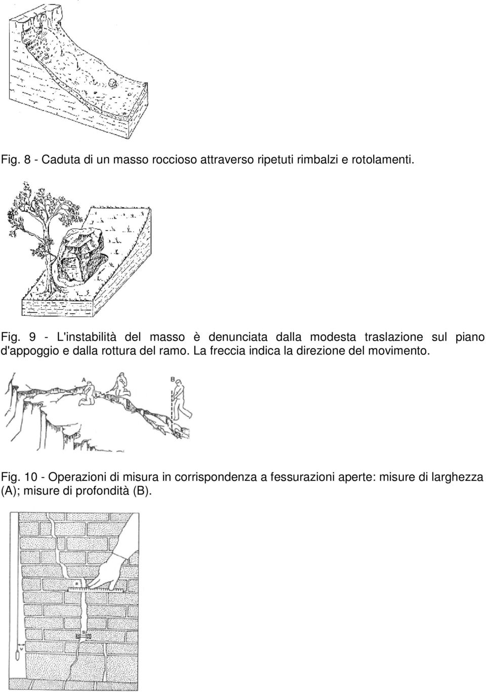 dalla rottura del ramo. La freccia indica la direzione del movimento. Fig.