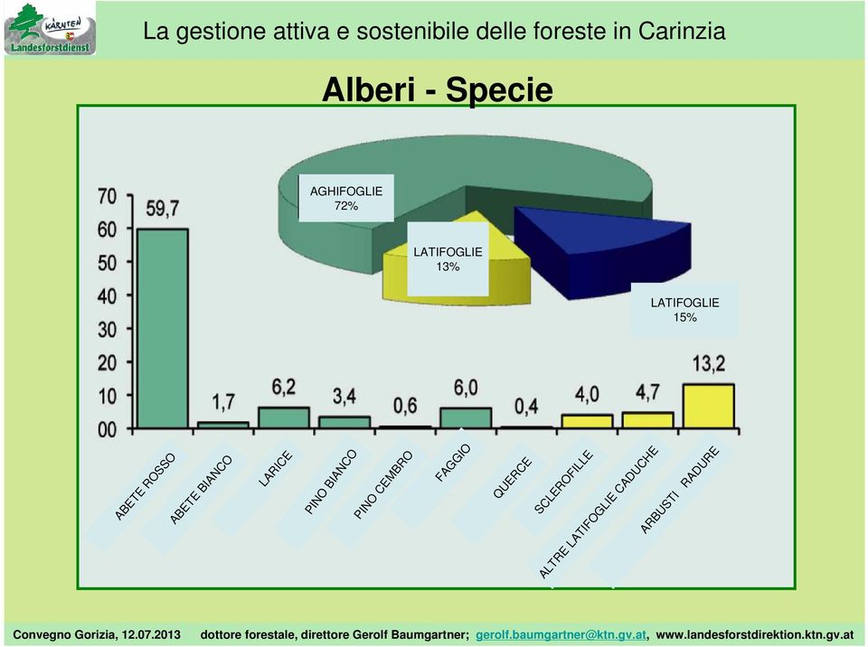 LARICE PINO BIANCO PINO CEMBRO FAGGIO QUERCE