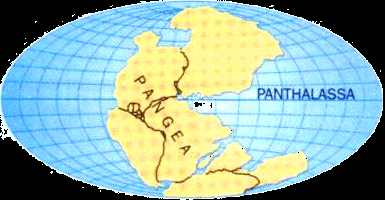 La tettonica a zolle e la deriva dei continenti Circa 225 milioni di anni fa tutte le terre emerse dagli oceani sul nostro Pianeta formavano un unico grandissimo "supercontinente" chiamato Pangea