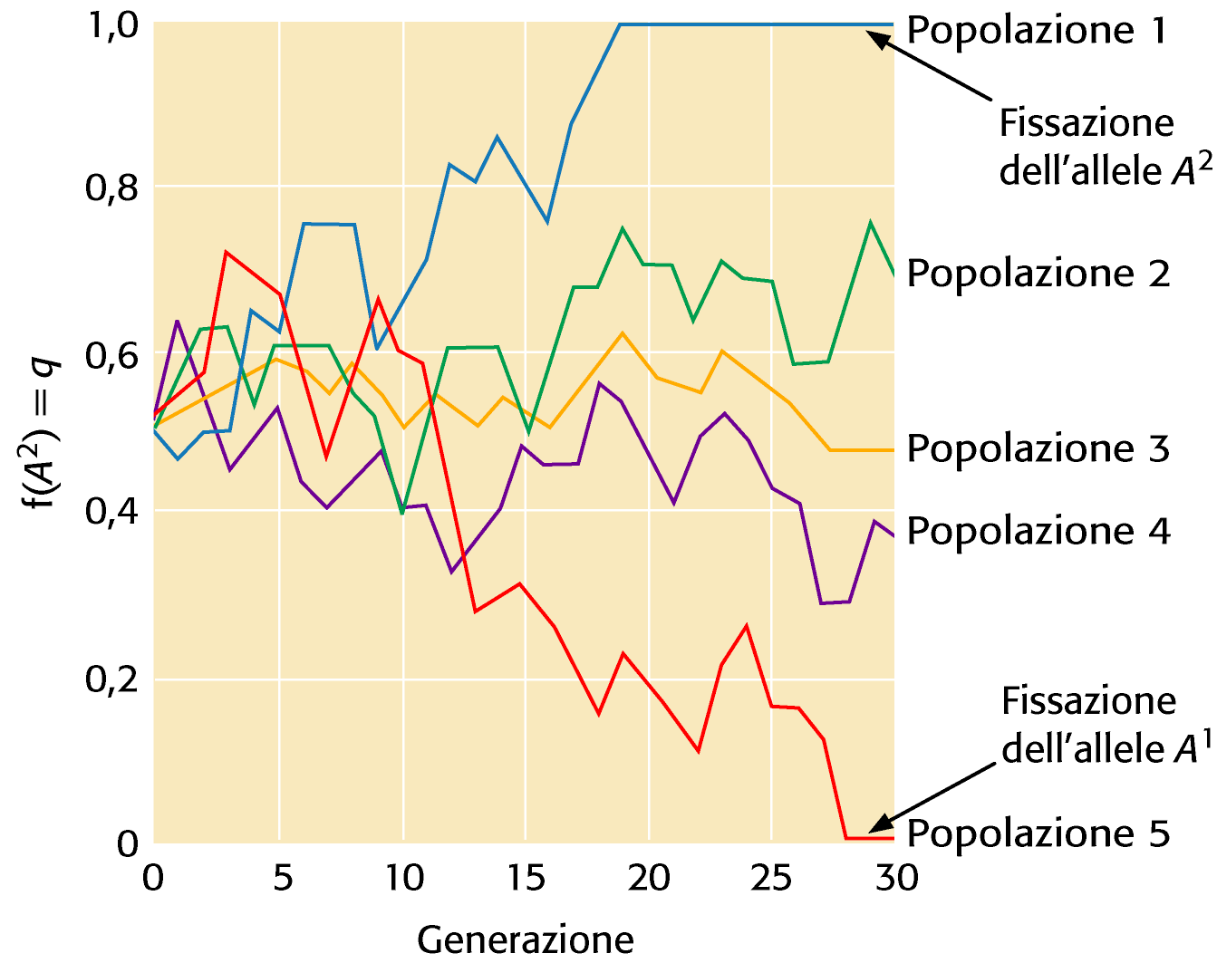 Esempio di simulazione al computer dei mutamenti di f(a) in 5