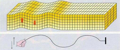 Onde S o seconde: sono meno veloci (2,3-4,6 km/s) delle onde P e si propagano solo nei mezzi solidi; sono onde di tipo trasversale.