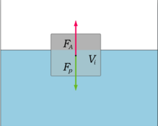 12 Principio di Archimede La scoperta della natura delle forze esercitate da un fluido sui corpi immersi in esso risale ad Archimede (287-212 a.c.).