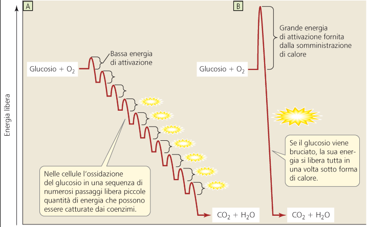 E difficile utilizzare efficientemente tutta l