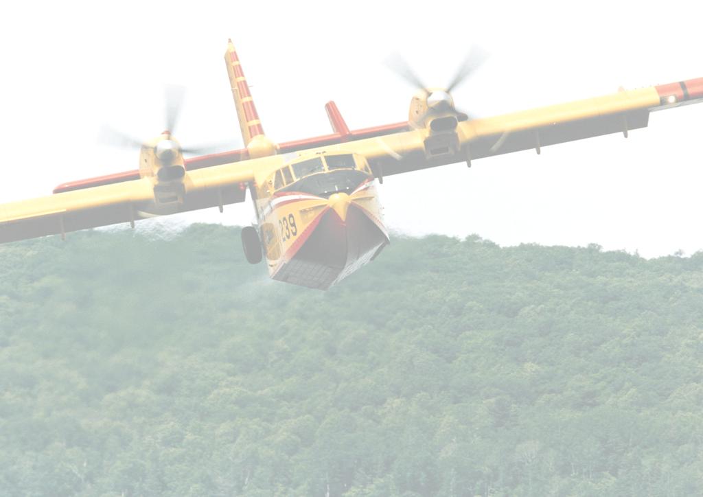 C.F.S. D.O.S. Direzione operazioni di spegnimento Rilevamento danni causati da incendio Ricerca di presunti autori R.L. DEVONO LAVORARE FIANCO A FIANCO Resp.