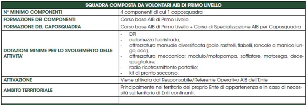 Squadre AIB di 1 Livello ( Capitolo 6 - Ruoli e