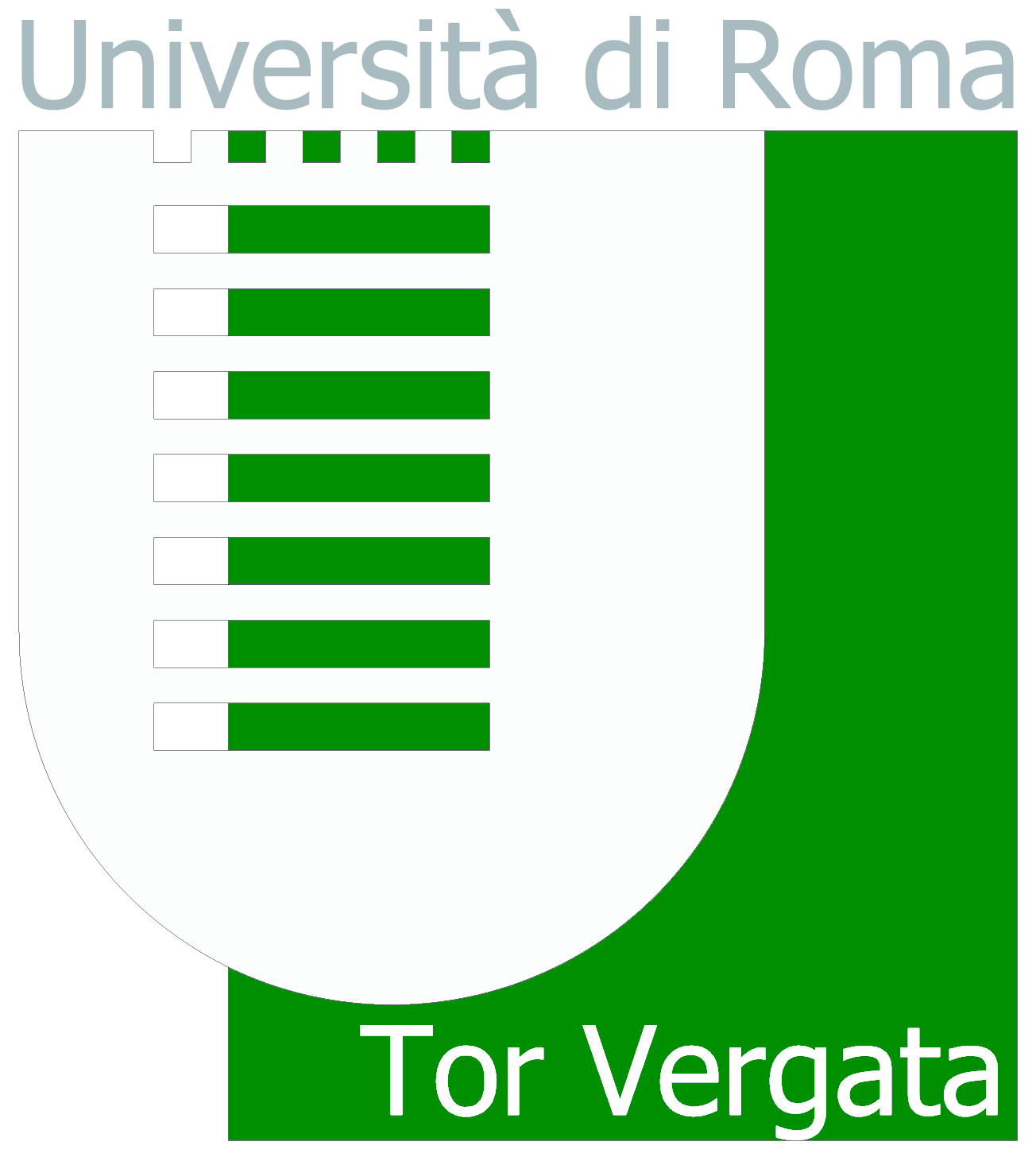Università di Roma Tor Vergata Marco Cesati