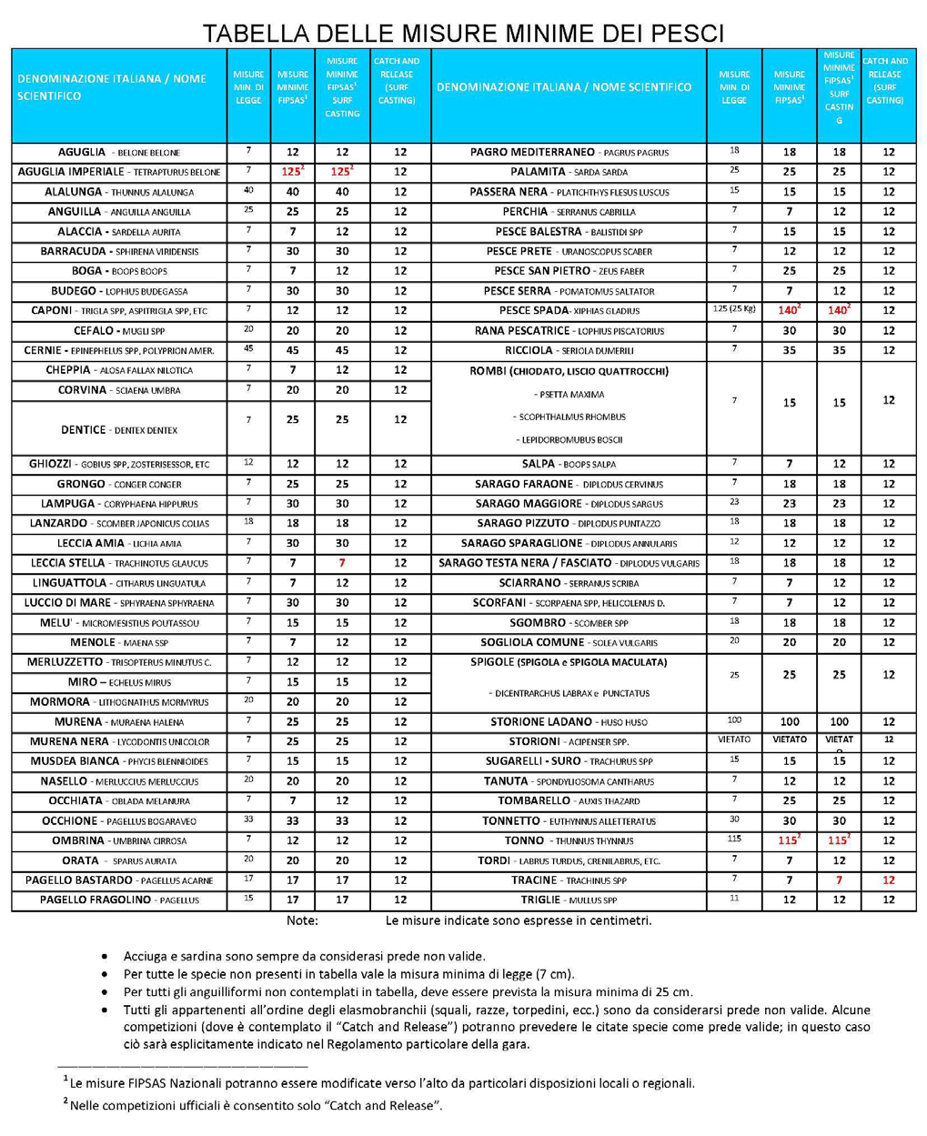 Pagina 8 di 8 CAMPIONATO