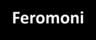 Feromoni Messaggeri chimici disciolti in sostanze organiche (liquidi o solidi biologici): sudore, urine, secrezioni vaginali, feci Composizione chimica varia: aldeidi, chetoni, alcooli, acidi etc.