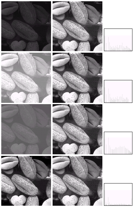 (1) (2) (3) (4) Histogram Matching Esistono applicazioni per le quali basare il processo di enhancement sulla trasformazione volta ad ottenere un istogramma uniforme non è la