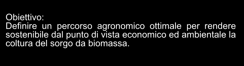 Sorgo da fibra ATTIVITÀ COLTURE BIOENERGETICHE FILIERA BIOMASSA ENERGIA 2009/2011 Screening Varietale su 69 genotipi Obiettivo: individuare le varietà più idonee alla produzione di energia per