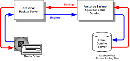 Architettura Architettura L'agente per Lotus Domino di Arcserve Backup fornisce servizi che consentono a Arcserve Backup di eseguire il backup e il ripristino dei database.
