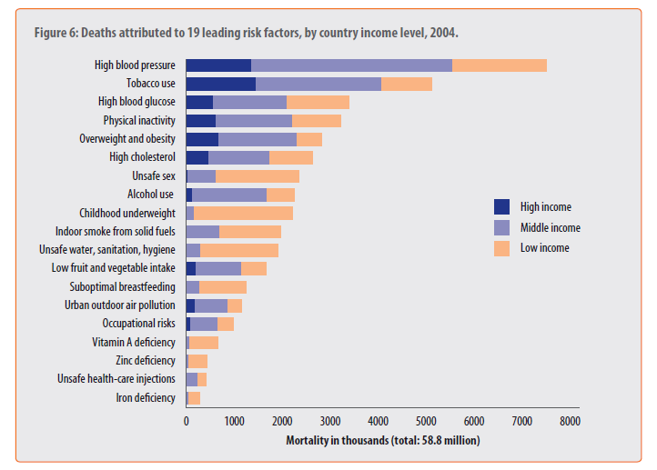 Fattori di rischio di mortalità in rapporto al livello di sviluppo Peso relativo (WHO 2009) Ipertensione Fumo Diabete Inattività fisica Sovrappeso/obesità Ipercolesterolemia Sesso non sicuro Alcool
