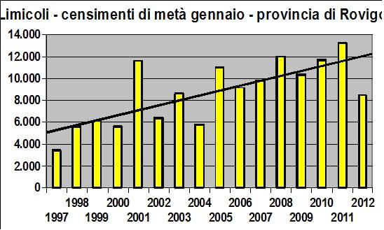 Il grosso dei Limicoli è rappresentato dal Piovanella pancianera e recentemente dall'avocetta.