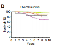 Survival without liver