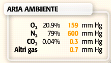 Pressione parziale dell ossigeno (po 2 ) e dell anidride carbonica (pco 2 ) L aria ambiente