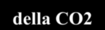 Controllo respiratorio della CO2 Controllo respiratorio Eliminazione