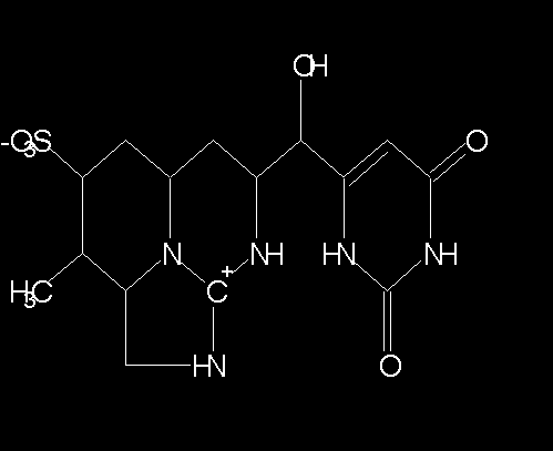 Cilindrospermopsina La cilindrospermopsina (CYN) appartiene alla classe degli alcaloidi