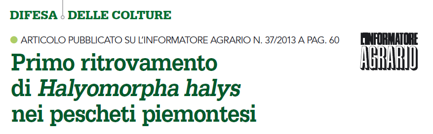 Origini e diffusione 2014 Italia: 2013 2015 2013 2014 2012 -Modena (settembre 2012) (Maiestrello L., Dioli P.