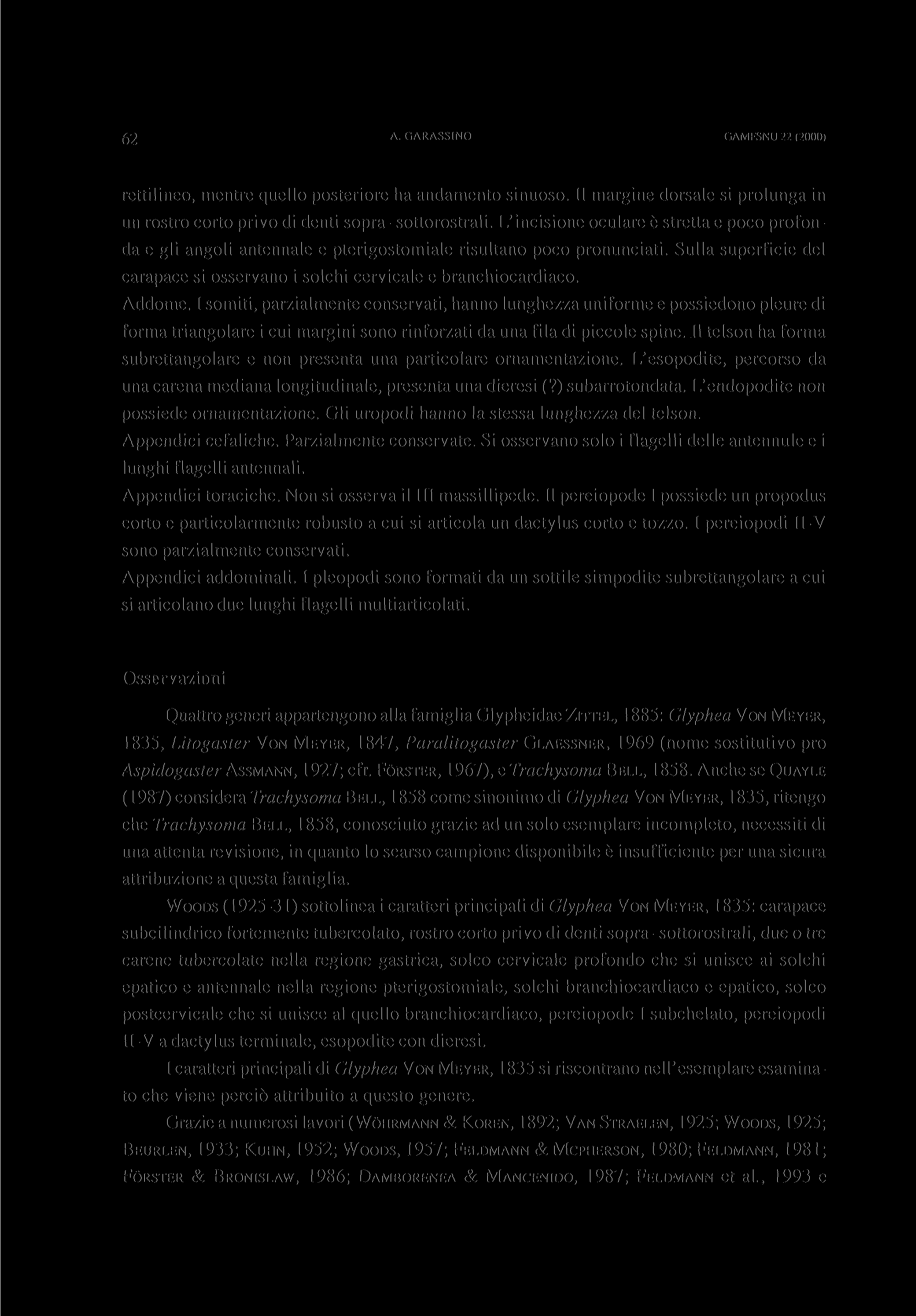 62 A. GARASSINO GAMFSNU 22 (2000) rettilineo, mentre quello posteriore ha andamento sinuoso. Il margine dorsale si prolunga in un rostro corto privo di denti sopra- sottorostrali.