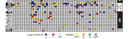 Grasso CS, Nature 2012 They performed an exome sequencing of 50 lethal, heavily pre-treated mcrpcs obtained at rapid autopsy.