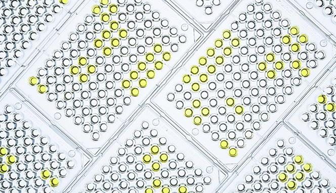 ELISA Enzyme-Linked ImmunoSorbent Assay