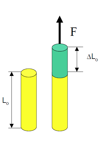 DEFORMAZIONE ELASTICA Un materiale sottoposto a trazione subisce una deformazione.