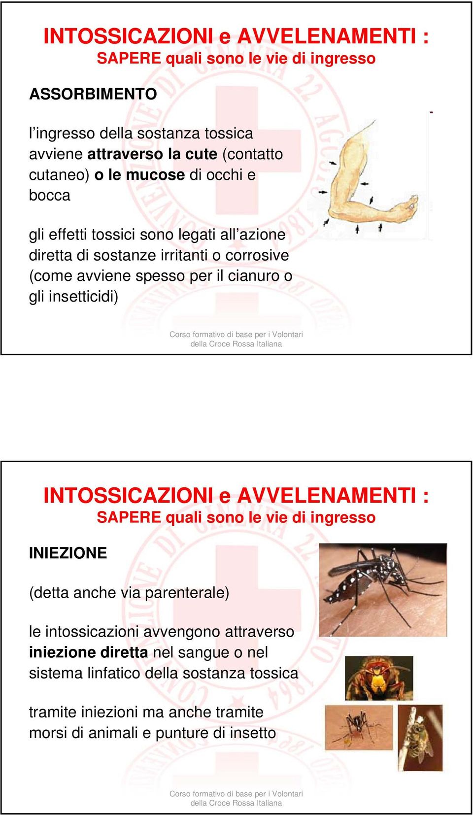 cianuro o gli insetticidi) INTOSSICAZIONI e AVVELENAMENTI : SAPERE quali sono le vie di ingresso INIEZIONE (detta anche via parenterale) le intossicazioni