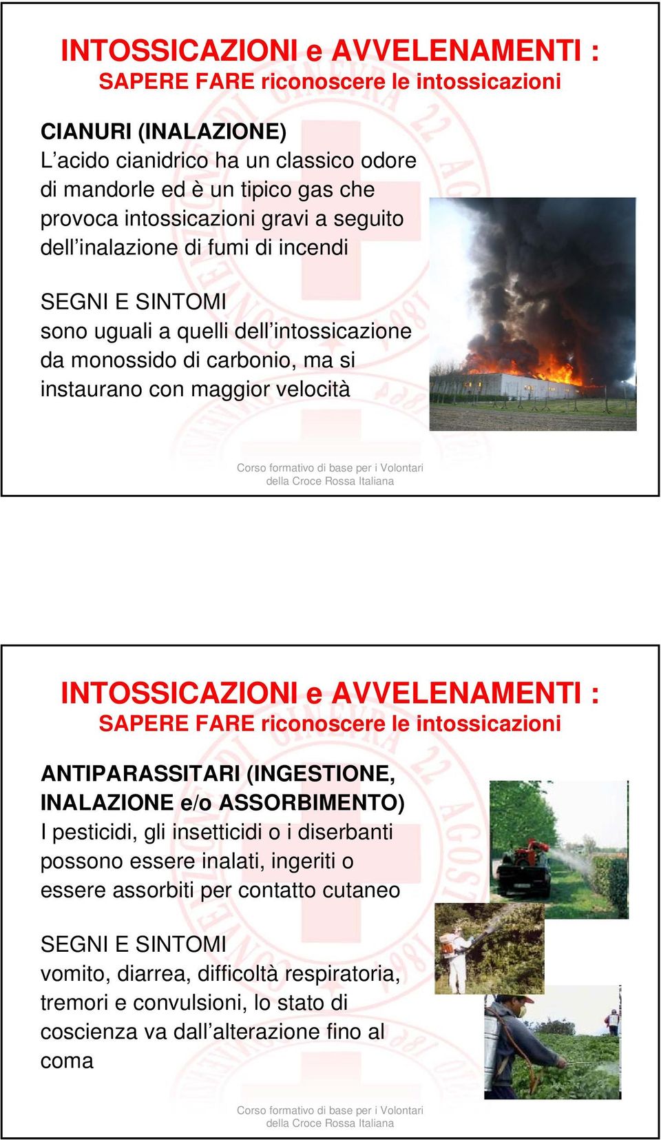 INTOSSICAZIONI e AVVELENAMENTI : SAPERE FARE riconoscere le intossicazioni ANTIPARASSITARI (INGESTIONE, INALAZIONE e/o ASSORBIMENTO) I pesticidi, gli insetticidi o i diserbanti possono