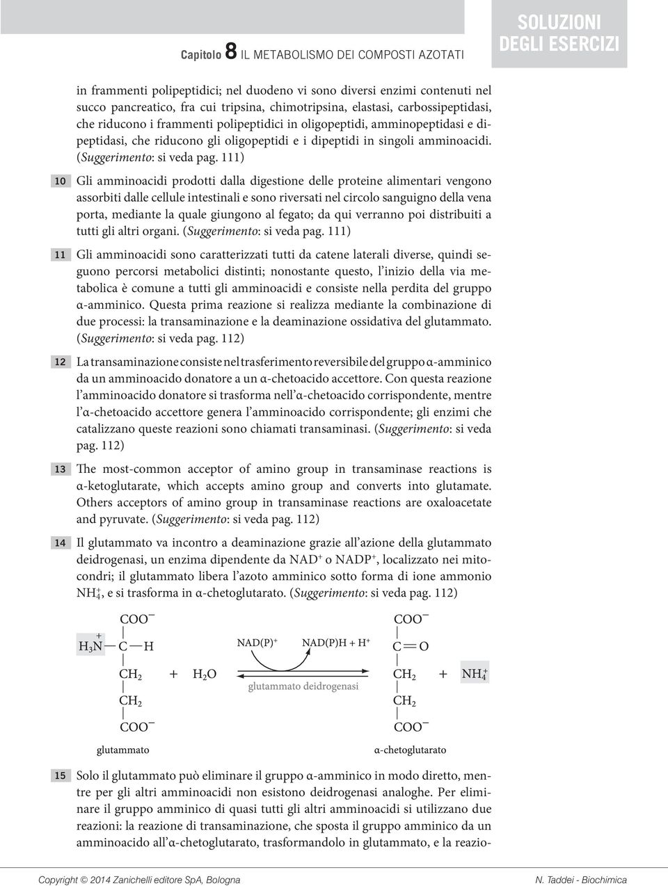 111) 10 Gli amminoacidi prodotti dalla digestione delle proteine alimentari vengono assorbiti dalle cellule intestinali e sono riversati nel circolo sanguigno della vena porta, mediante la quale