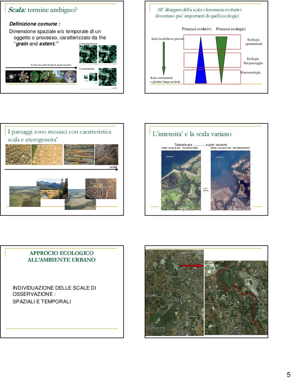 processo, caratterizzato da the grain and extent.