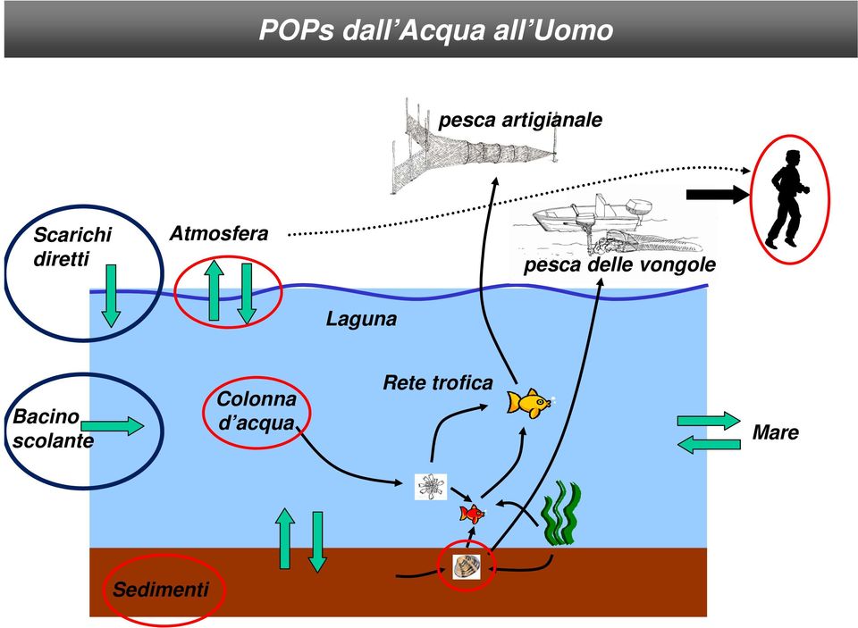 pesca delle vongole Laguna Bacino