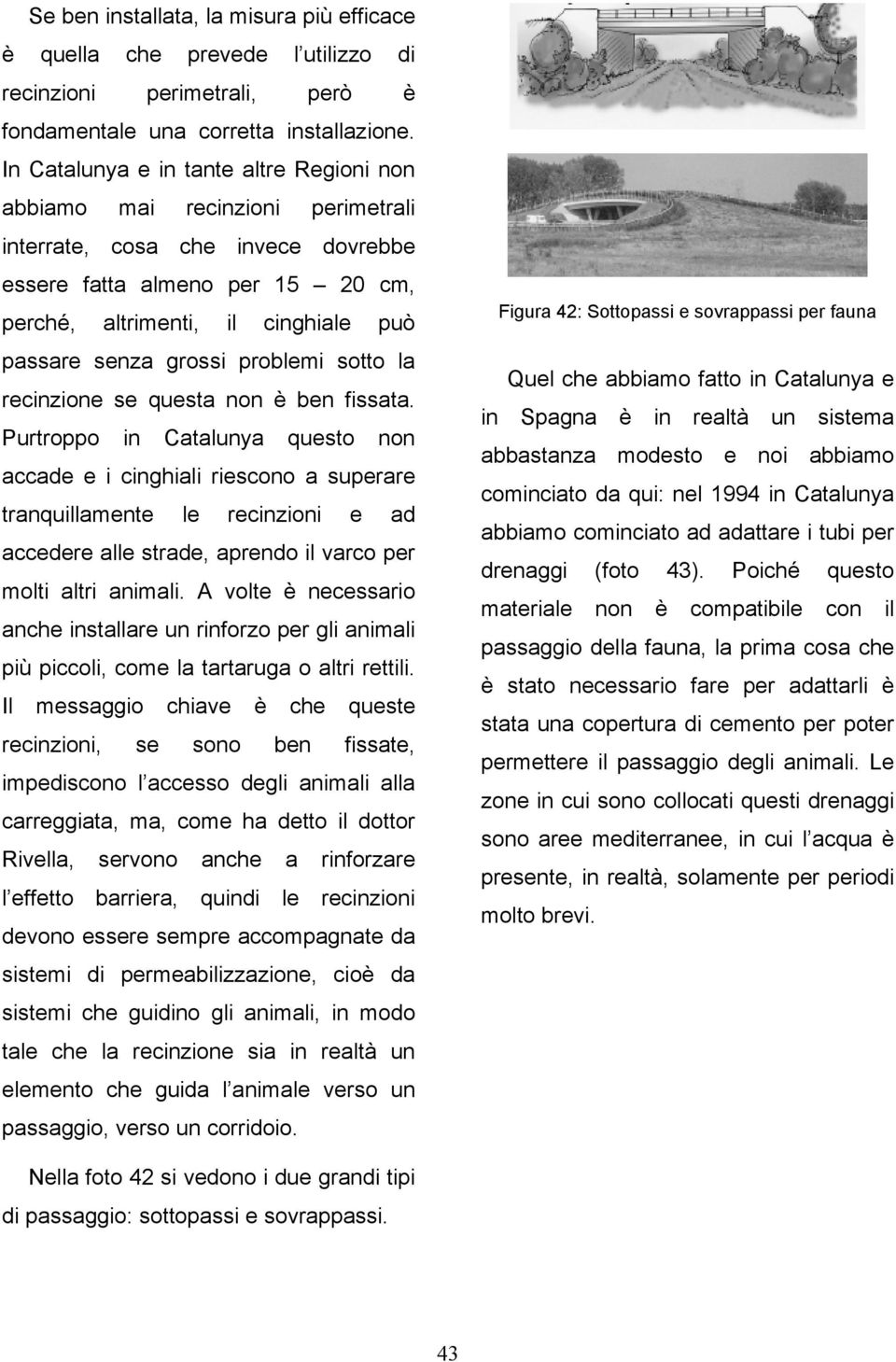 grossi problemi sotto la recinzione se questa non è ben fissata.