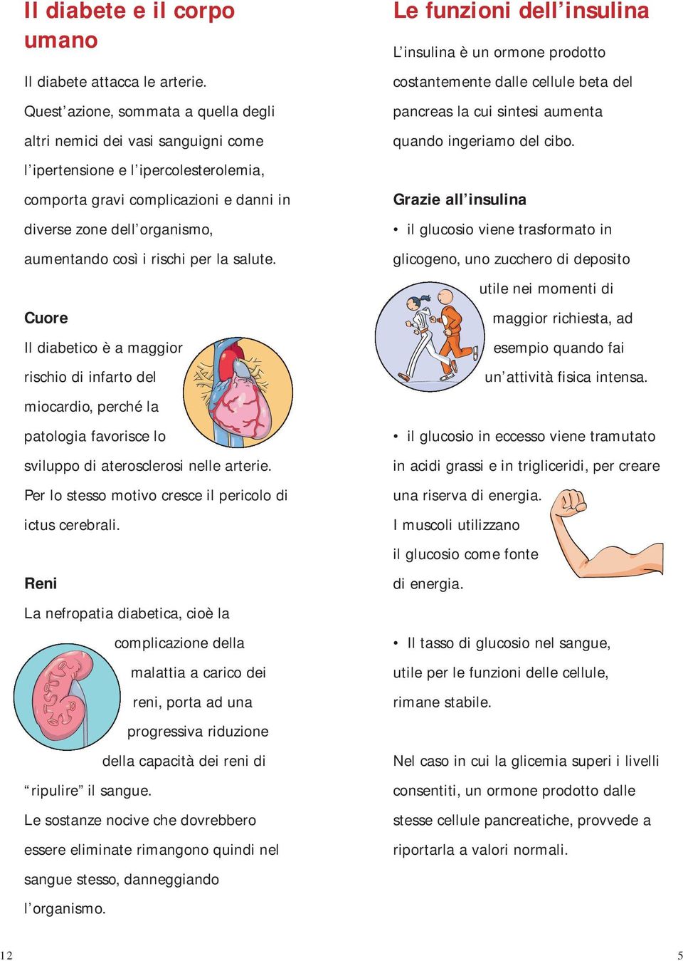 rischi per la salute. Cuore Il diabetico è a maggior rischio di infarto del miocardio, perché la patologia favorisce lo sviluppo di aterosclerosi nelle arterie.