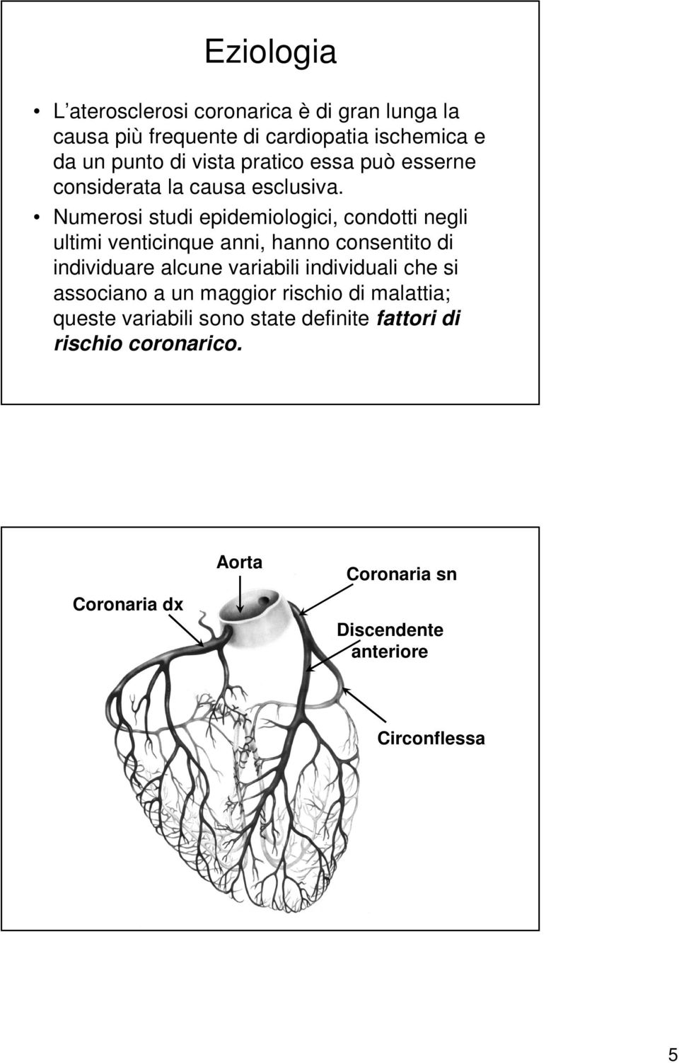 Numerosi studi epidemiologici, condotti negli ultimi venticinque anni, hanno consentito di individuare alcune variabili