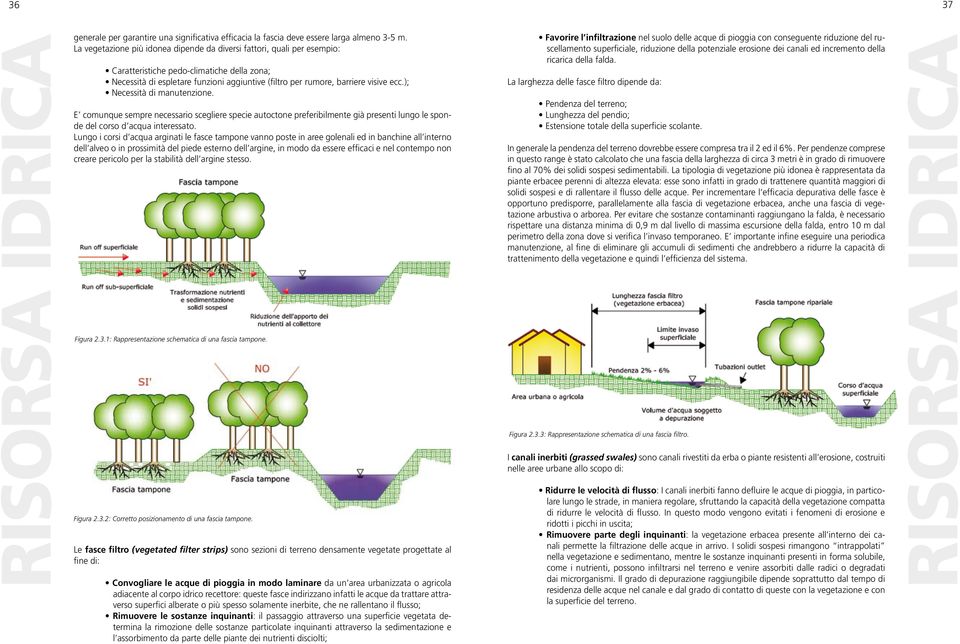 ); Necessità di manutenzione. E comunque sempre necessario scegliere specie autoctone preferibilmente già presenti lungo le sponde del corso d acqua interessato.