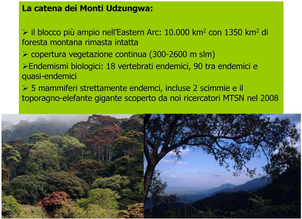 (300-2600 m slm) Endemismi biologici: 18 vertebrati endemici, 90 tra endemici e quasi-endemici