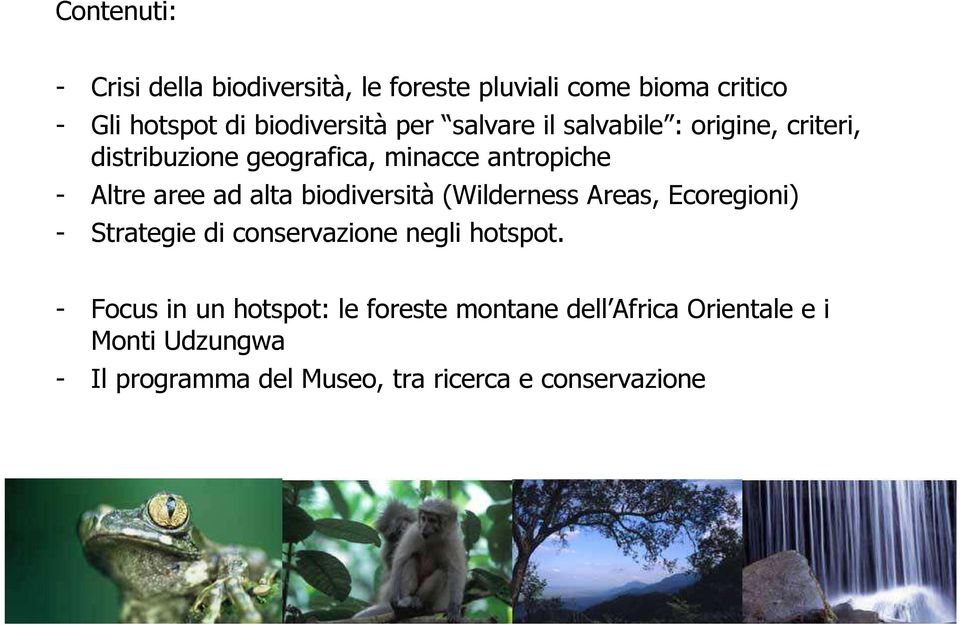 biodiversità (Wilderness Areas, Ecoregioni) - Strategie di conservazione negli hotspot.