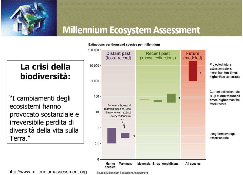 e irreversibile perdita di diversità della