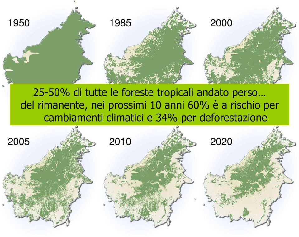 prossimi 10 anni 60% è a rischio per