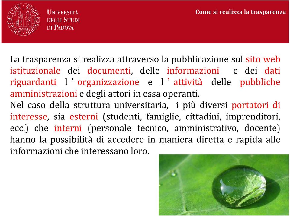 Nel caso della struttura universitaria, i più diversi portatori di interesse, sia esterni (studenti, famiglie, cittadini, imprenditori, ecc.