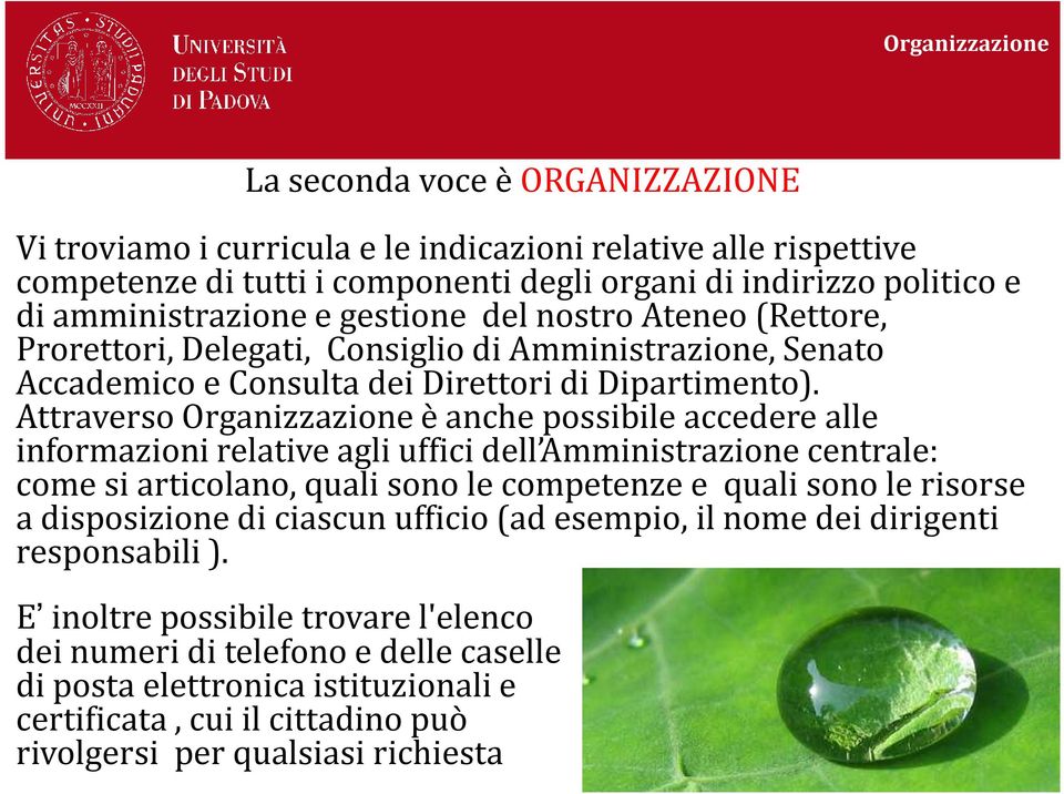 Attraverso Organizzazione è anche possibile accedere alle informazioni relative agli uffici dell Amministrazione centrale: come si articolano, quali sono le competenze e quali sono le risorse a