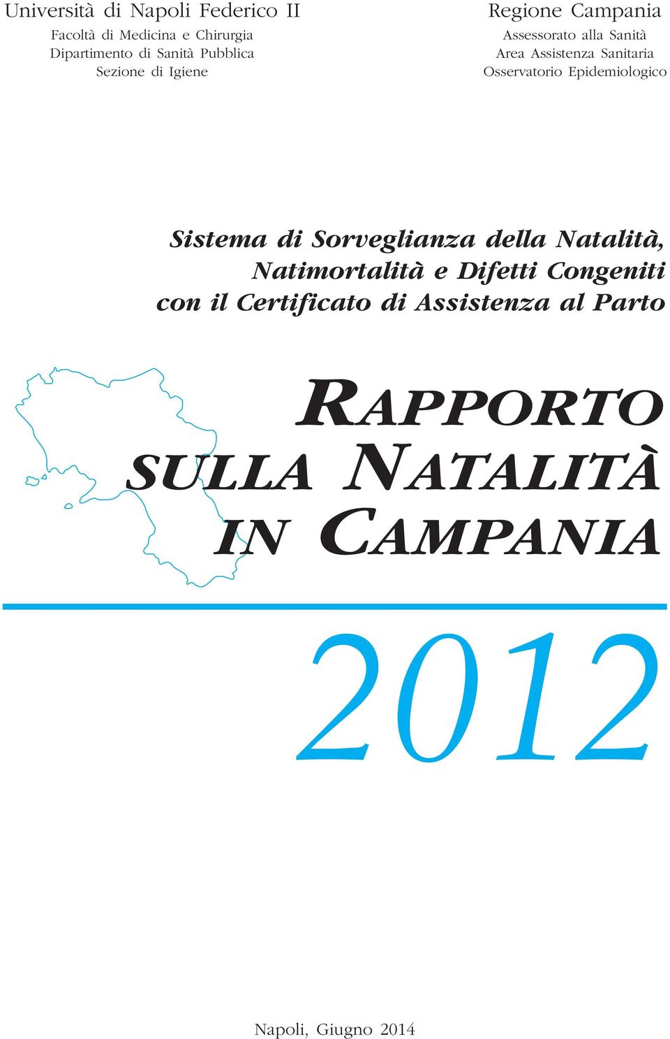 della Natalità, Natimortalità e Difetti Congeniti con il Certificato di Assistenza al Parto RAPPORTO SULLA NATALITÀ IN