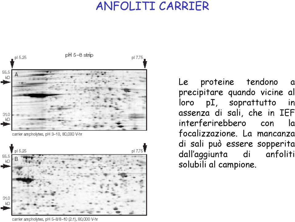 interferirebbero con la focalizzazione.