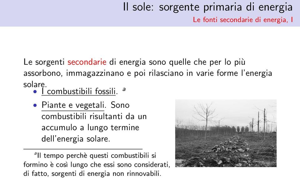 a Piante e vegetali. Sono combustibili risultanti da un accumulo a lungo termine dell energia solare.