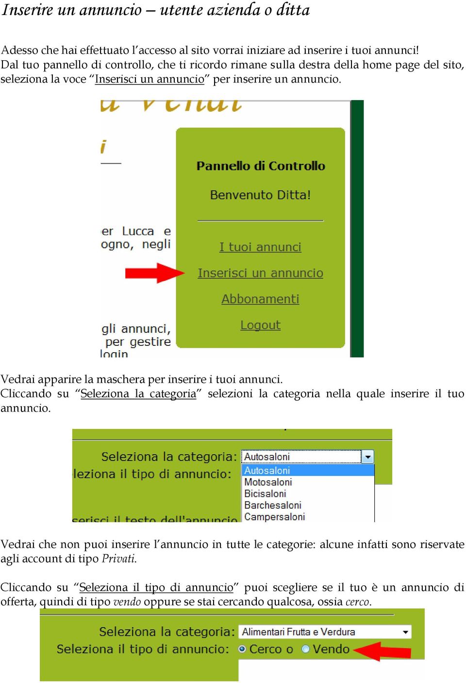 Vedrai apparire la maschera per inserire i tuoi annunci. Cliccando su Seleziona la categoria selezioni la categoria nella quale inserire il tuo annuncio.