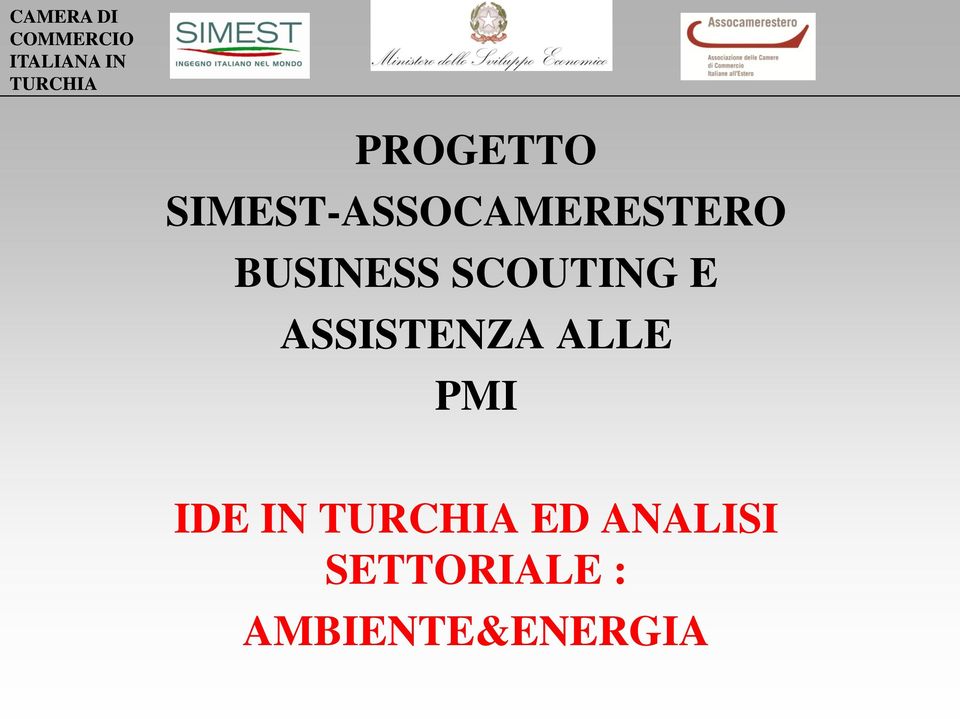 BUSINESS SCOUTING E