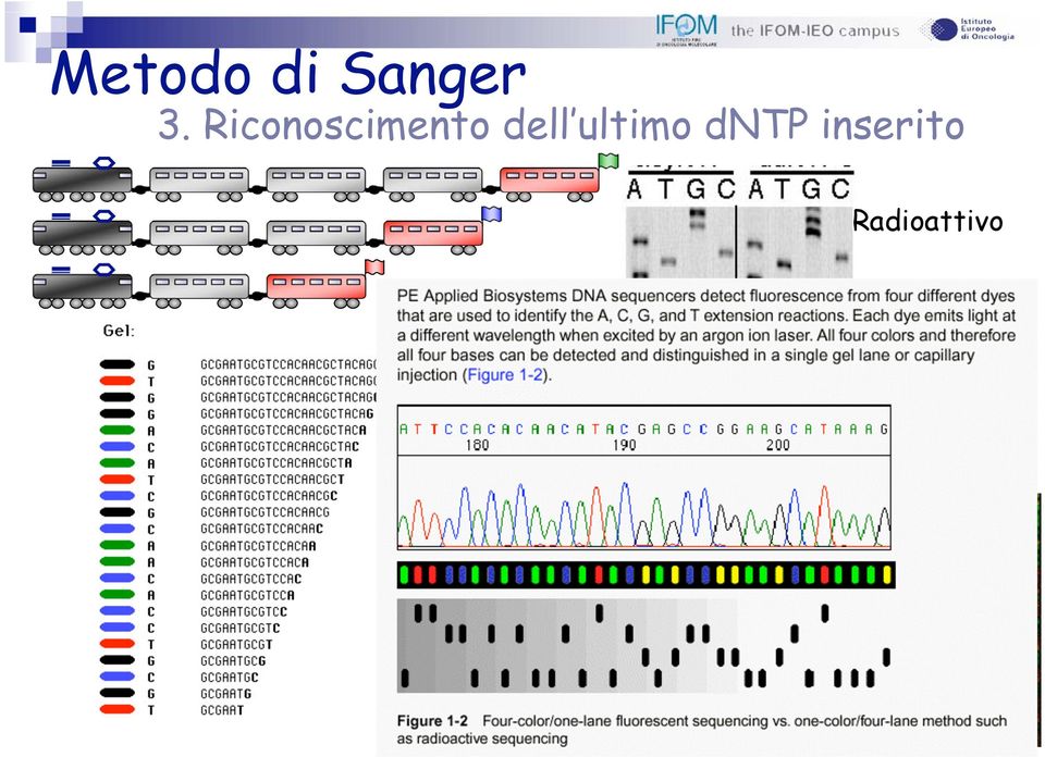 ultimo dntp inserito