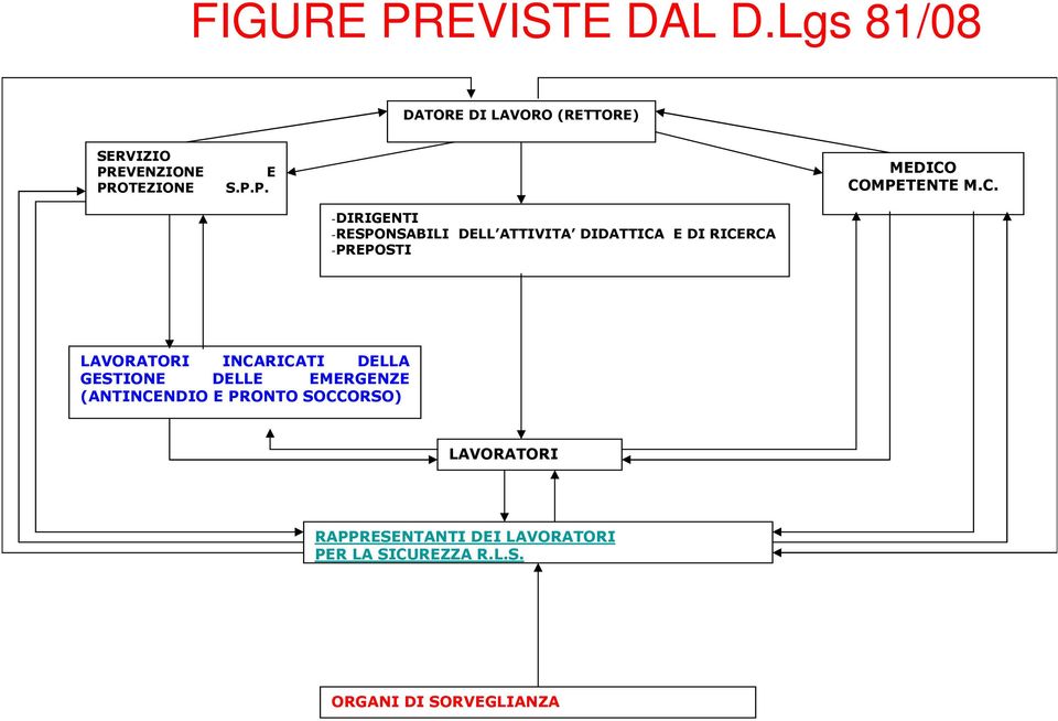 C. -DIRIGENTI -RESPONSABILI DELL ATTIVITA DIDATTICA E DI RICERCA -PREPOSTI LAVORATORI